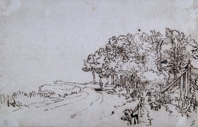 Copse at the head of the Amsteldijk near Trompenburg, c.1649 by Rembrandt Harmensz. van Rijn