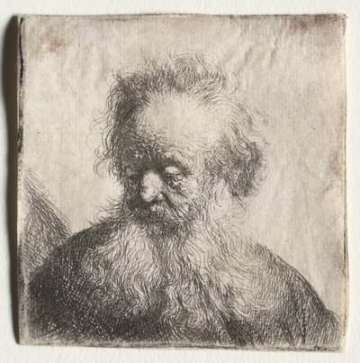 Old Man with a Flowing Beard: Bust by Rembrandt Harmensz. van Rijn