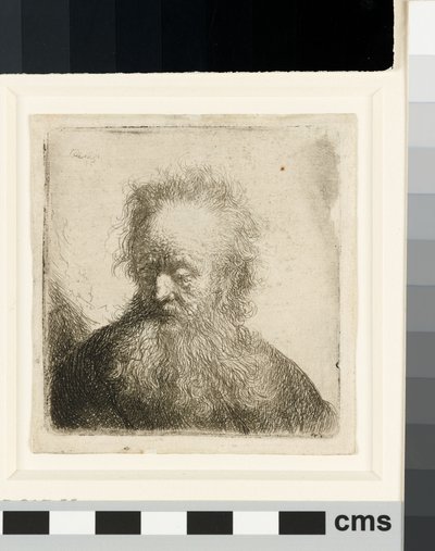 Old Man with a flowing Beard: bust by Rembrandt van Rijn