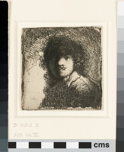 Self-portrait Bare-headed: Bust, c.1629 by Rembrandt van Rijn