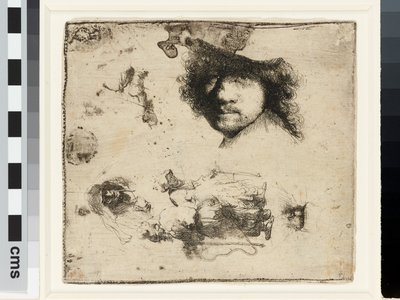 Sheet of studies by Rembrandt van Rijn