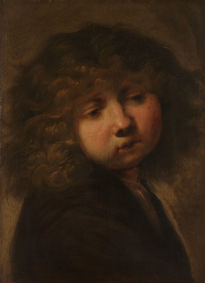 Head of a Boy by Rembrandt van Rijn (circle of)