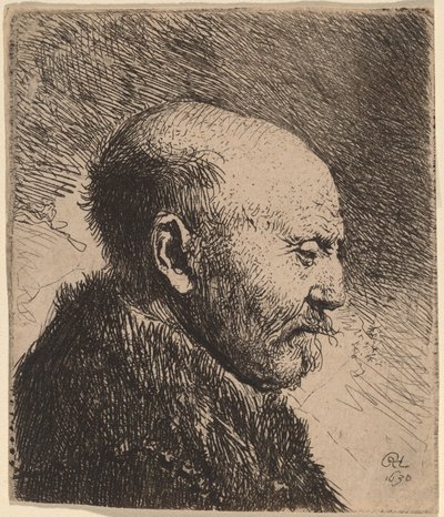 A Bald Man in Profile (The Artist