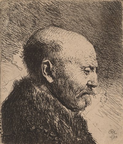 A Bald Man in Profile (The Artist