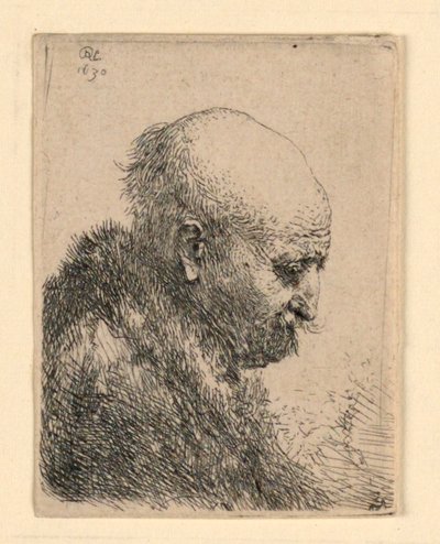 Bald-Headed Man in Profile Right: Small Bust; The Artist