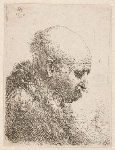 Bald-headed Man (Rembrandt