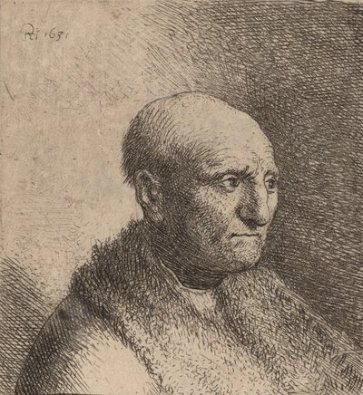 Bald Man in a Fur Cloak by Rembrandt van Rijn