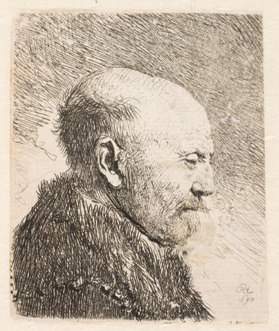 Bald Man in Profile by Rembrandt van Rijn