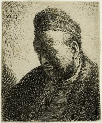 Beardless Man in a Fur Cloak and Cap: Bust by Rembrandt van Rijn