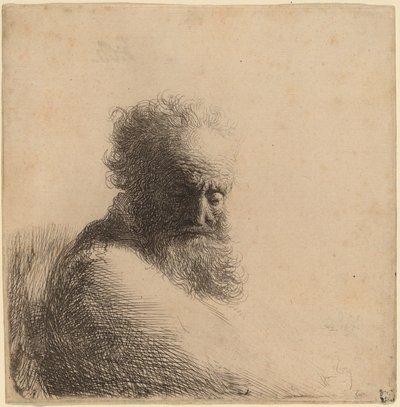 Bust of an Old Bearded Man, Looking Down, Three Quarters Right by Rembrandt van Rijn