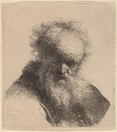 Bust of an Old Man with Flowing Beard and White Sleeve by Rembrandt van Rijn