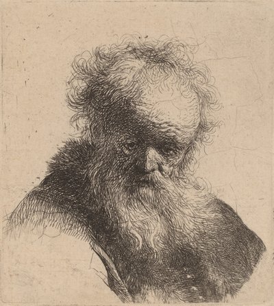 Bust of an Old Man with Flowing Beard and White Sleeve by Rembrandt van Rijn