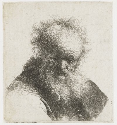 Bust of an Old Man with Flowing Beard and White Sleeve by Rembrandt van Rijn