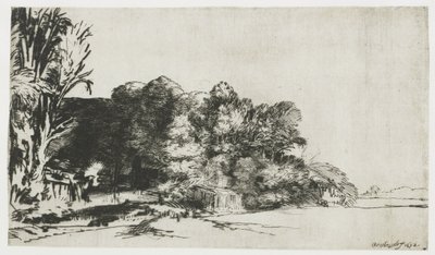 Clump of Trees with a Vista by Rembrandt van Rijn