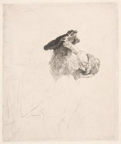 Old Man Shading His Eyes with His Hand by Rembrandt van Rijn