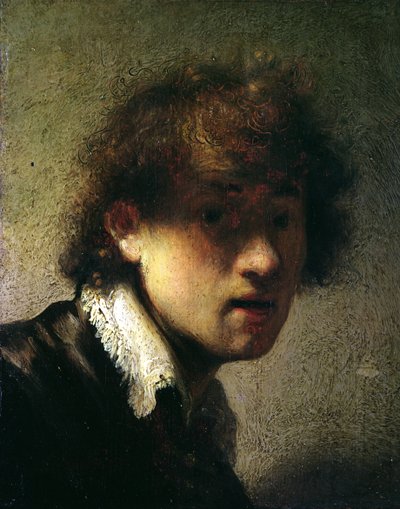 Head of a Young Man or Self Portrait, 1629 by Rembrandt van Rijn