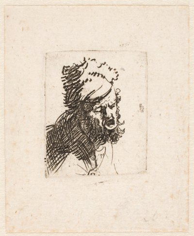 Head of a Man in a Fur Cap, Crying Out by Rembrandt van Rijn