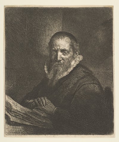 Jan Cornelis Sylvius by Rembrandt van Rijn