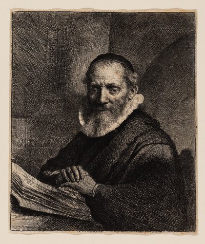 Jan Cornelius Sylvius by Rembrandt van Rijn