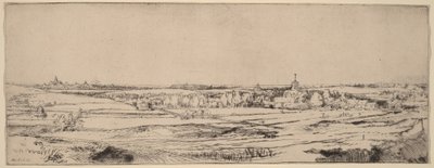 Landscape with a View toward Haarlem (The Goldweigher