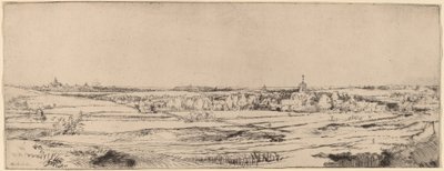 Landscape with a View toward Haarlem The Goldweigher