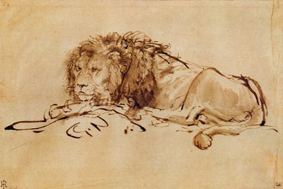 Lion Resting by Rembrandt van Rijn