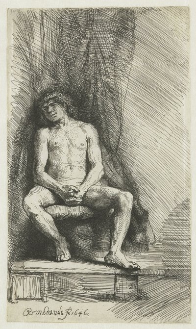 Nude Young Man, Seated Before a Curtain by Rembrandt van Rijn