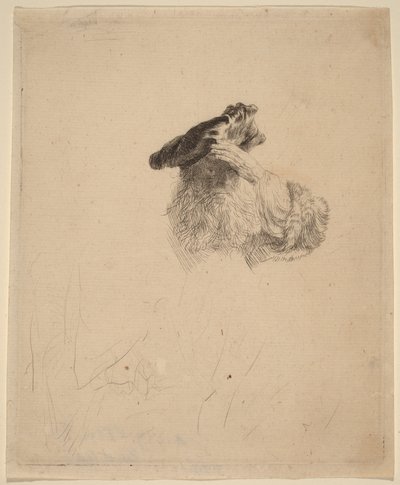 Old Man Shading His Eyes with His Hand by Rembrandt van Rijn