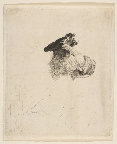 Old Man Shading His Eyes with His Hand by Rembrandt van Rijn