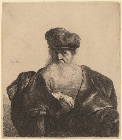 Old Man with Beard, Fur Cap, and Velvet Cloak by Rembrandt van Rijn