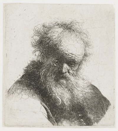 Old Man with Long Beard, with White Sleeve by Rembrandt van Rijn
