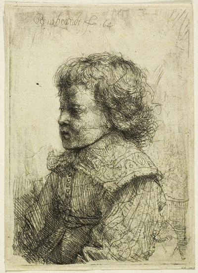 Portrait of a Boy by Rembrandt van Rijn