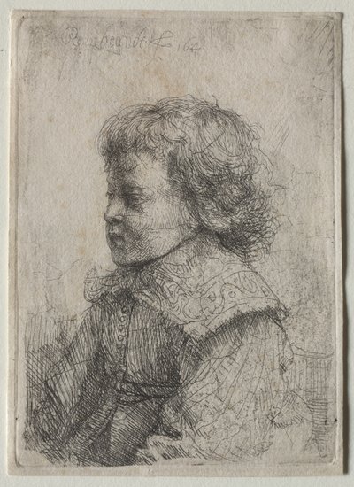 Portrait of a Boy in Profile, 1641 by Rembrandt van Rijn