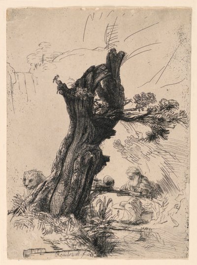 Saint Jerome Beside a Pollard Willow by Rembrandt van Rijn