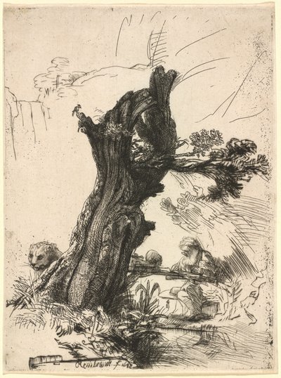 Saint Jerome beside a Pollard Willow by Rembrandt van Rijn