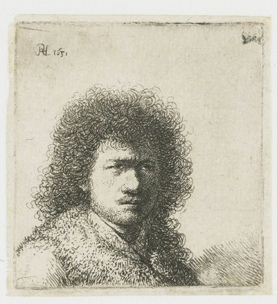 Self-Portrait with Bushy Hair: Bust by Rembrandt van Rijn