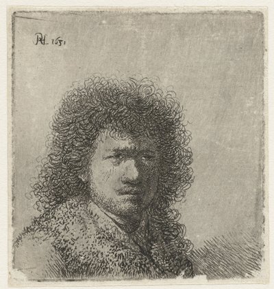 Self-portrait with Bushy Hair: Bust by Rembrandt van Rijn