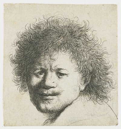 Self-Portrait with Long Bushy Hair: Head Only by Rembrandt van Rijn