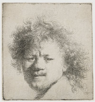 Self-portrait with Long Bushy Hair: Head Only by Rembrandt van Rijn