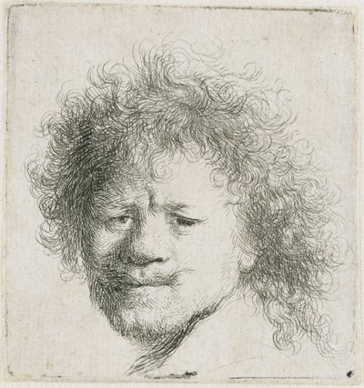 Self-portrait with Long Bushy Hair: Head Only by Rembrandt van Rijn
