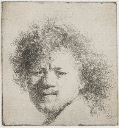 Self-Portrait with Long Bushy Hair: Head Only by Rembrandt van Rijn