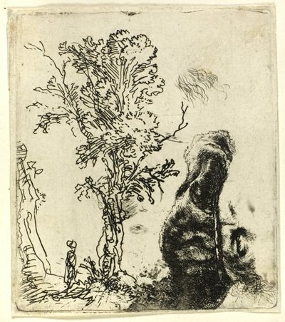 Sheet with Two Studies: A Tree, and the Upper Part of the Head of the Artist Wearing a Velvet Cap by Rembrandt van Rijn