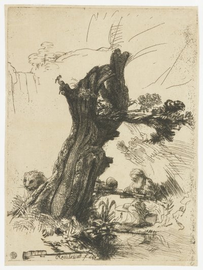 St Jerome Beside a Pollard Willow by Rembrandt van Rijn