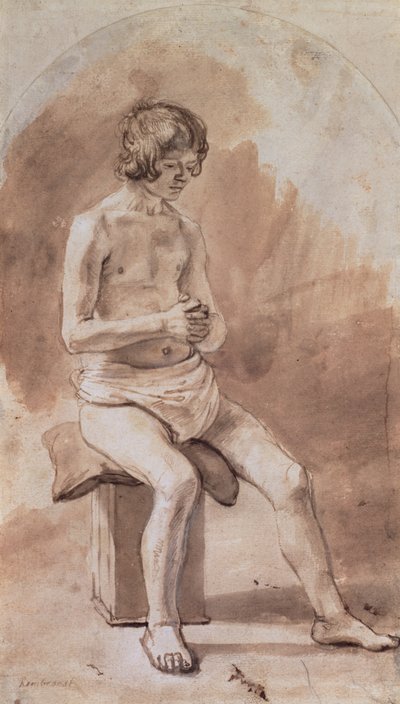 Study of a Nude Youth by Rembrandt van Rijn