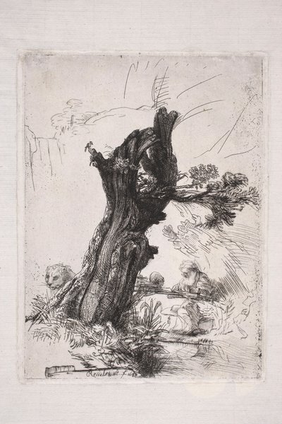 Saint Jerome Writing by a Willow Trunk by Rembrandt van Rijn