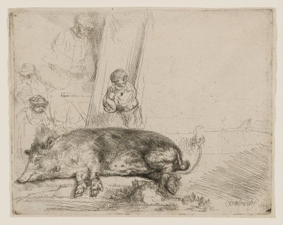 The Hog by Rembrandt van Rijn