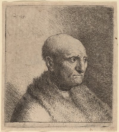 Bald Man in a Fur Cloak by Rembrandt van Rijn and Studio of Rembrandt