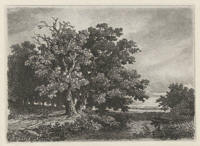 Trees by a Pond with a Boat by Remigius Adrianus Haanen