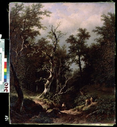Forest landscape by Remigius van Haanen