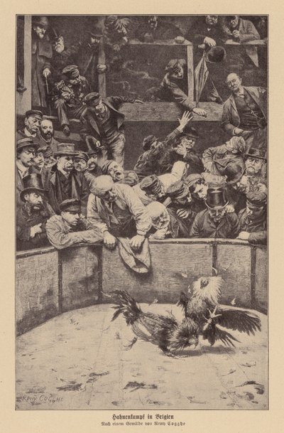 Cockfighting in Flanders by Remy Cogghe